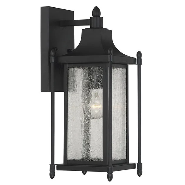 Dunnmore Single-Light Outdoor Wall Mount Lantern