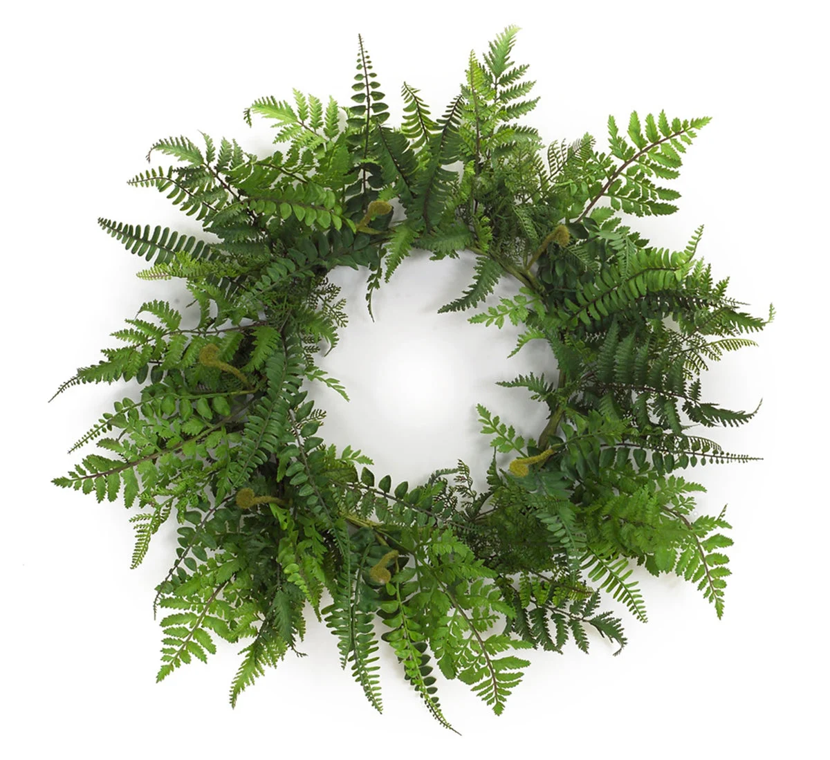 24" Mixed Fern Wreath – Rustic Greenery for Entryway or Living Room – By Melrose