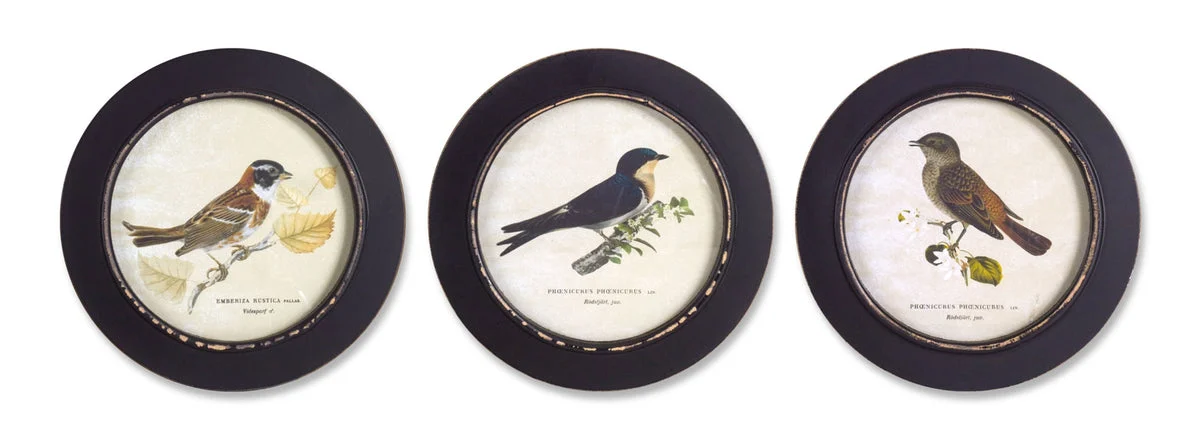 Wood Framed Encyclopedia Bird Prints – Set of 3 Round Wall Decor 9.5" by Melrose