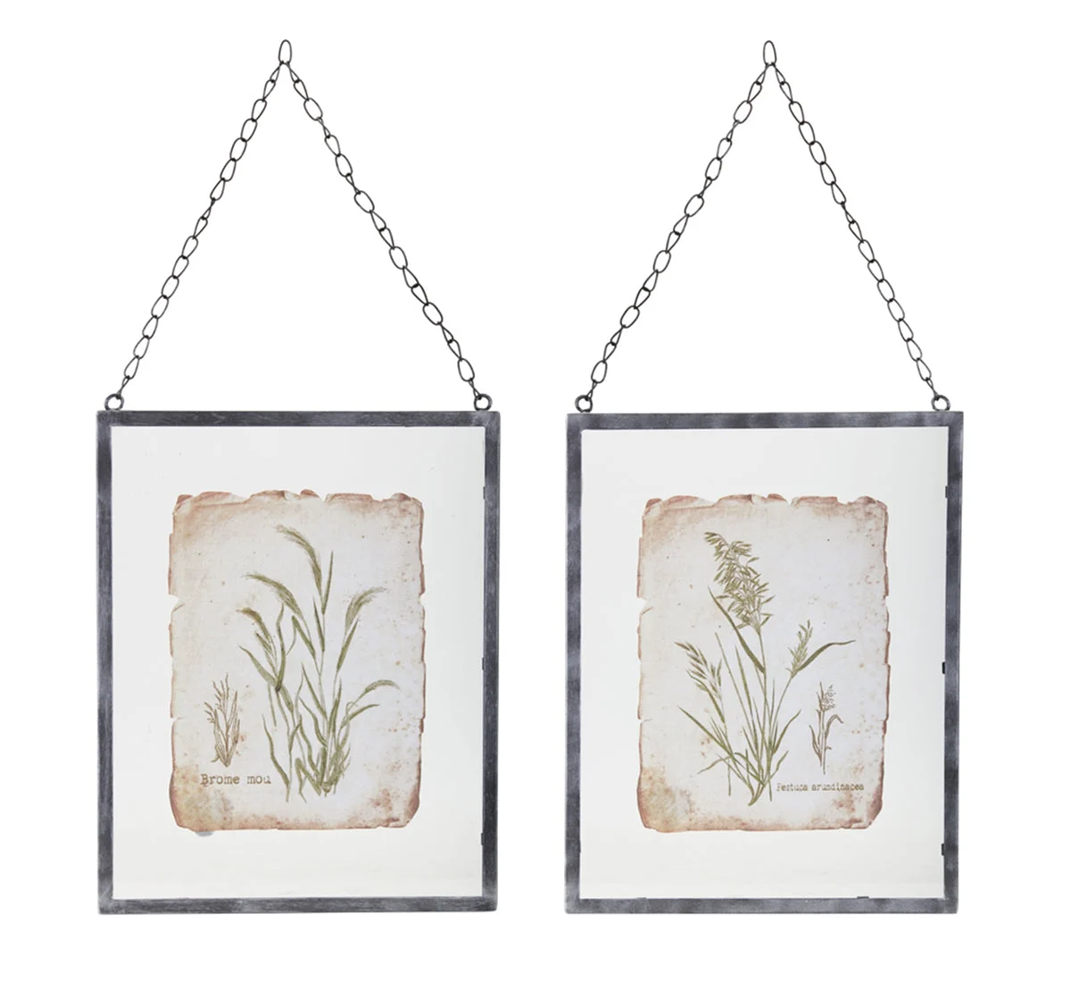 Melrose Metal Framed Grass Print Under Glass (Set of 2)