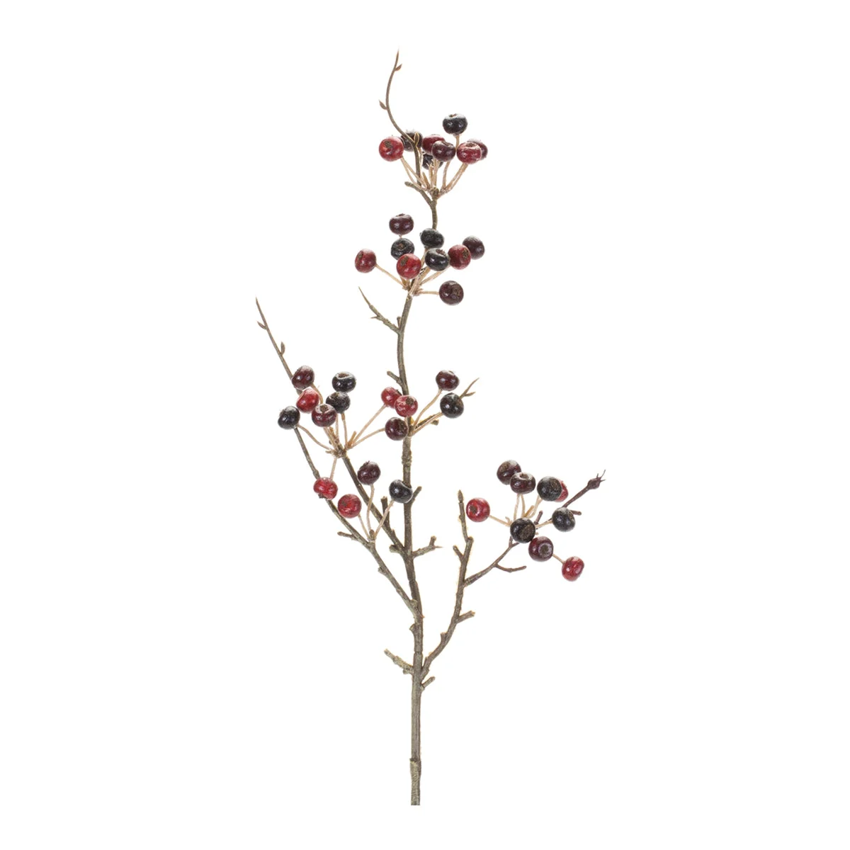 Christmas Berry Pod Spray Set of 6 Foam Plastic 26 Inch Height Holiday Stems by Melrose
