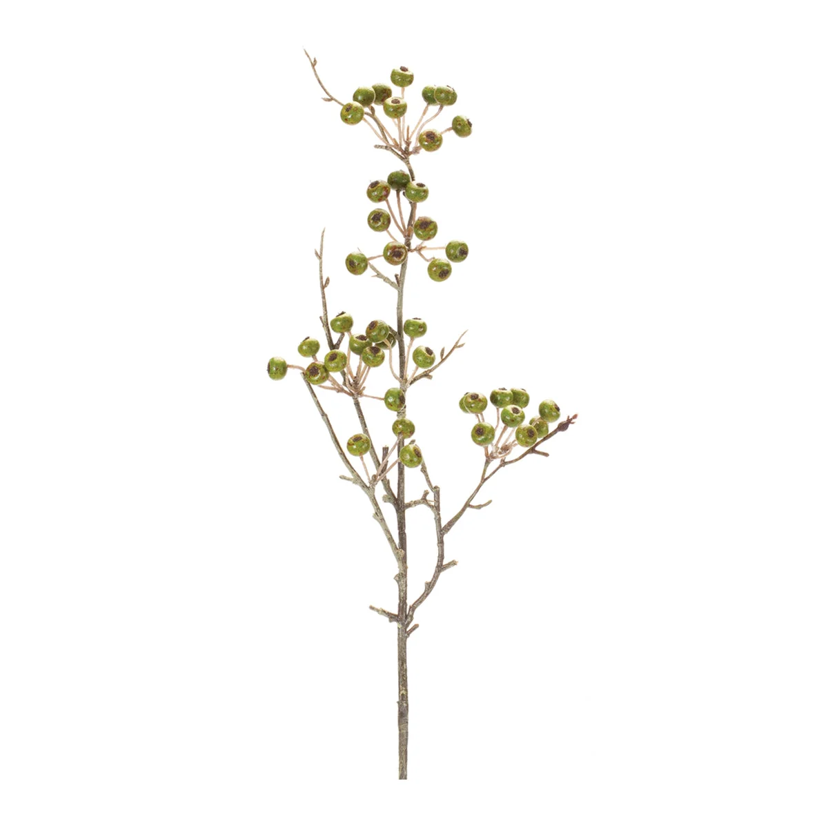 Christmas Winter Berry Pod Spray Set of 12 Foam Plastic 28" Height Holiday Stems by Melrose