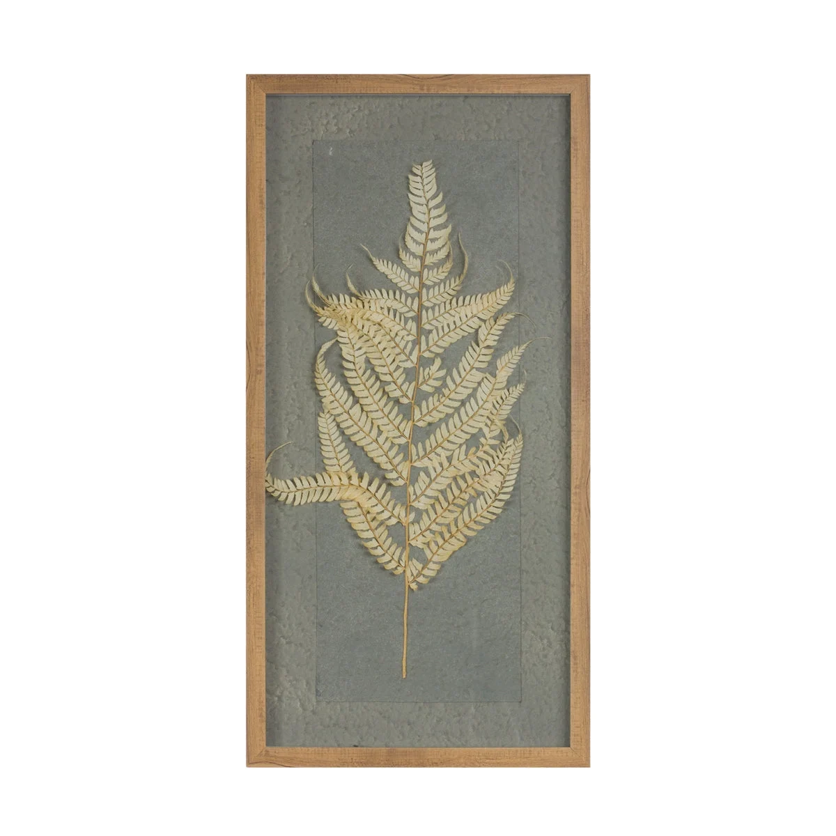 Framed Fern Wall Art – 27.75"H – Set of 2 Botanical Prints By Melrose