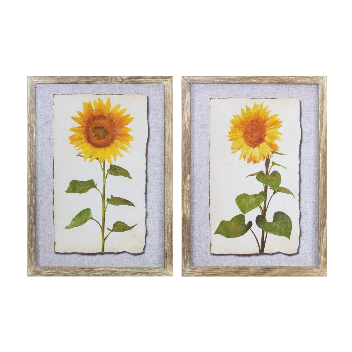 Melrose Framed Sunflower Print (Set of 2)
