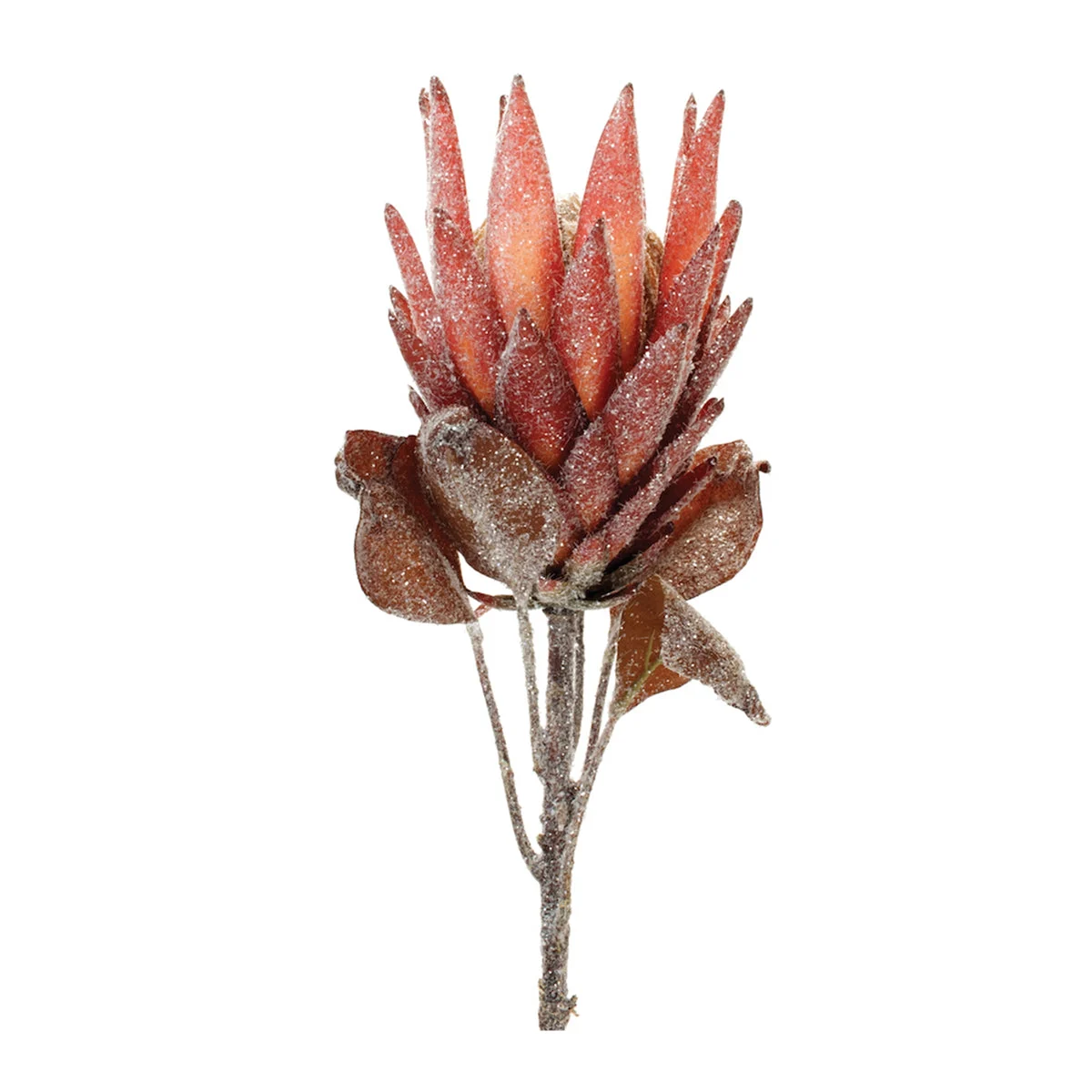 Christmas Floral Accents – Red Protea Stem Set of 2, 29" by Melrose