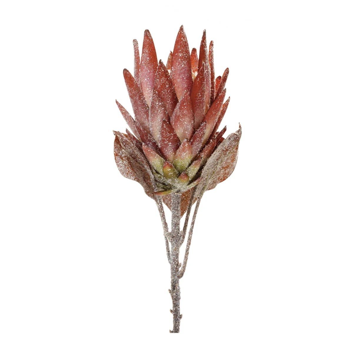 Holiday Arrangement Stems – Lifelike Orange Protea 29"H 2 Pieces by Melrose