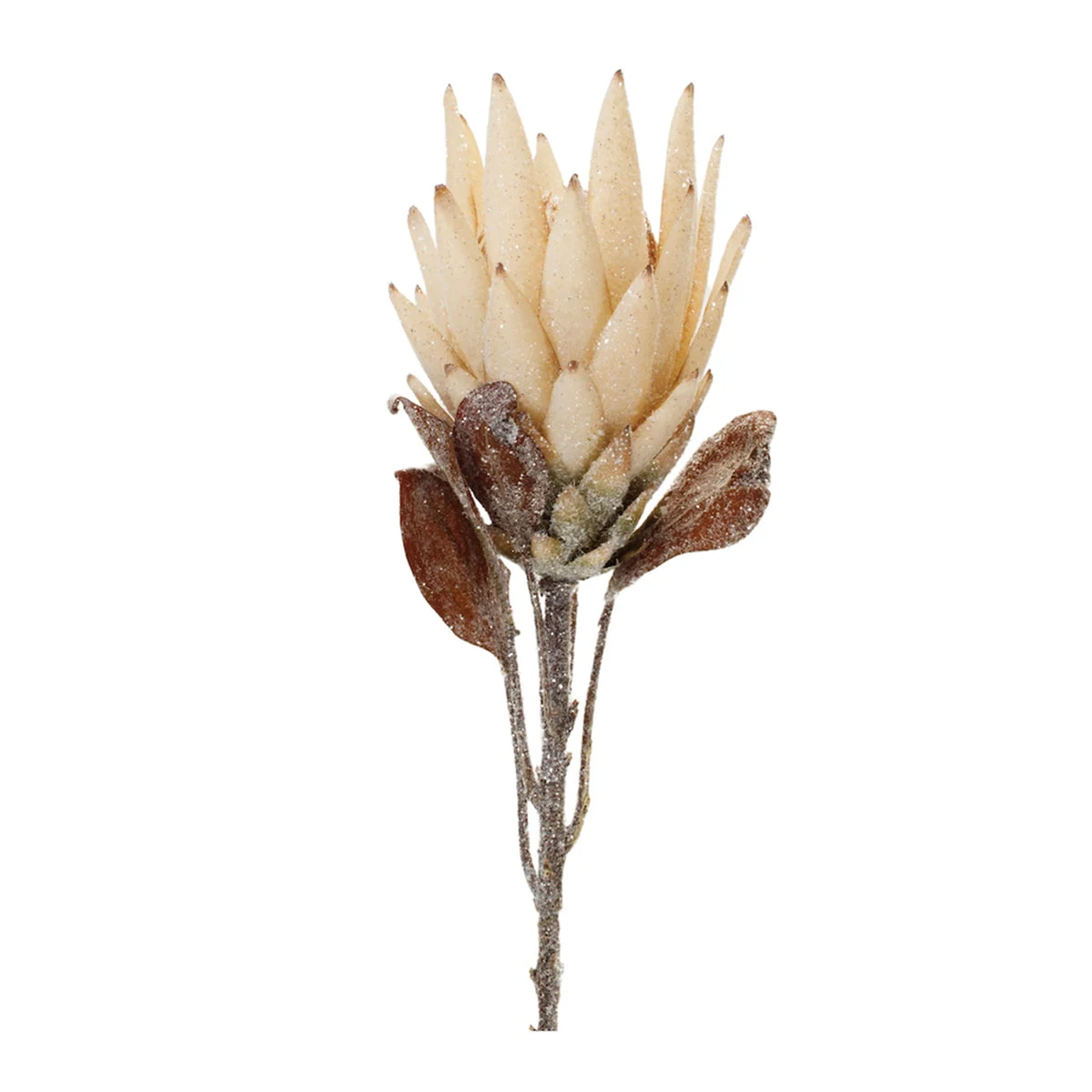 Christmas Protea Flower Stems – Set of 2, Beige & Brown Seasonal Decor by Melrose