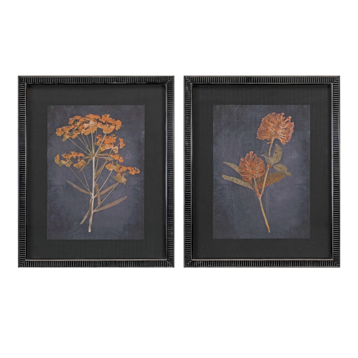 Melrose Wood Framed Botanical Print (Set of 2)