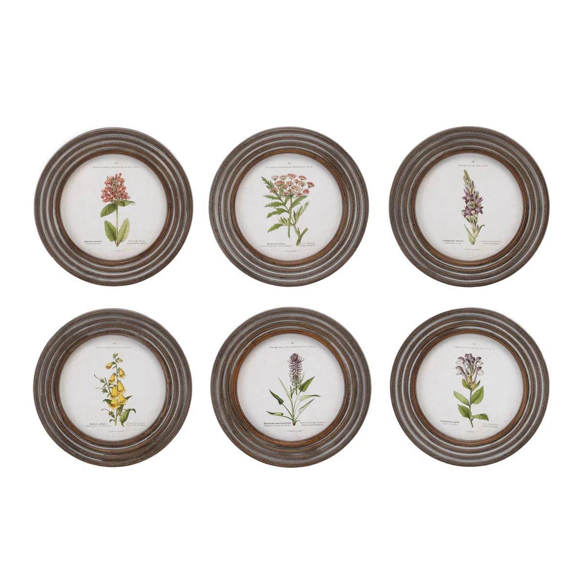 Melrose Round Framed Floral Print (Set of 6)