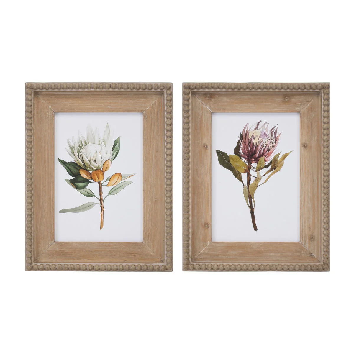 Melrose Wood Framed Protea Floral Print (Set of 2)