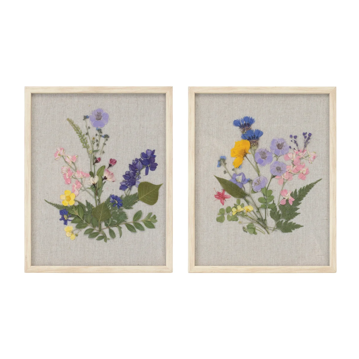 Melrose Framed Pressed Floral Art (Set of 2)