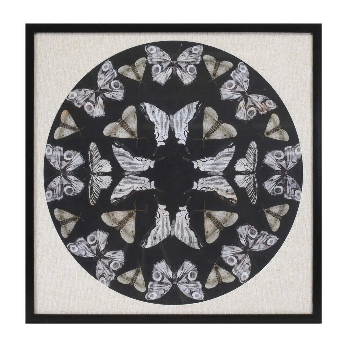 Framed Butterfly Wall Decor Nature Inspired Black Beige Art by Melrose