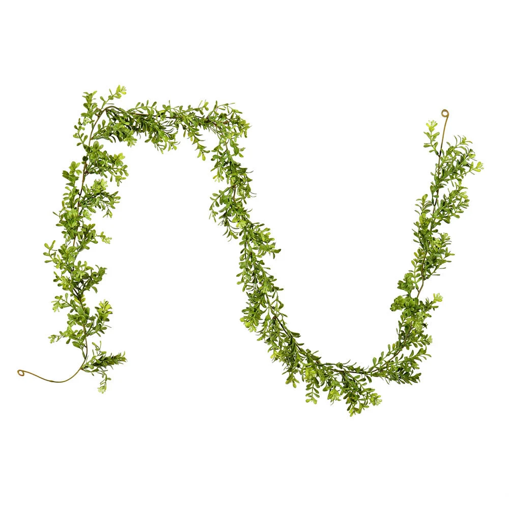 Vickerman FK181572 6' Artificial Green Boxwood Moderne Garland