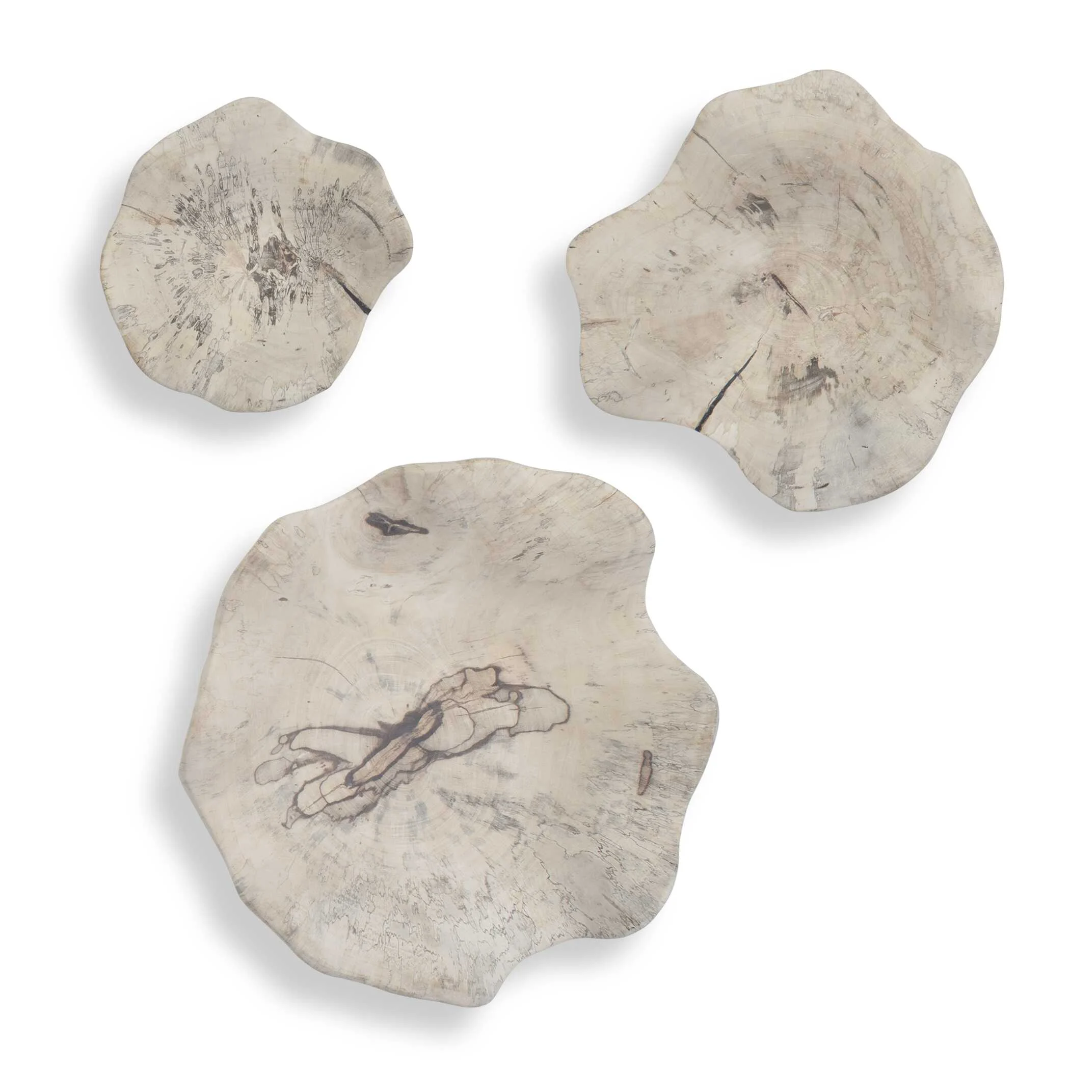 Teo Bleached Wood Wall Decor // Set of 3