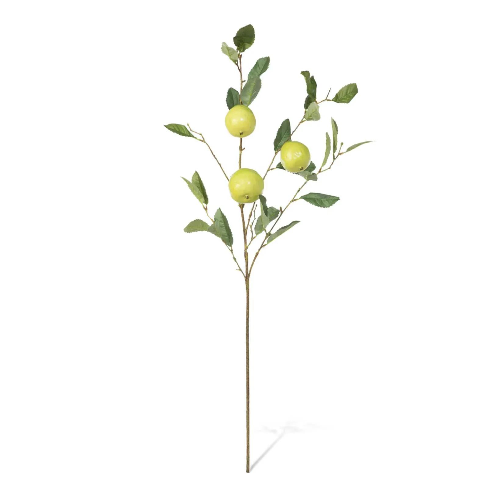 Quince Fruit Branch