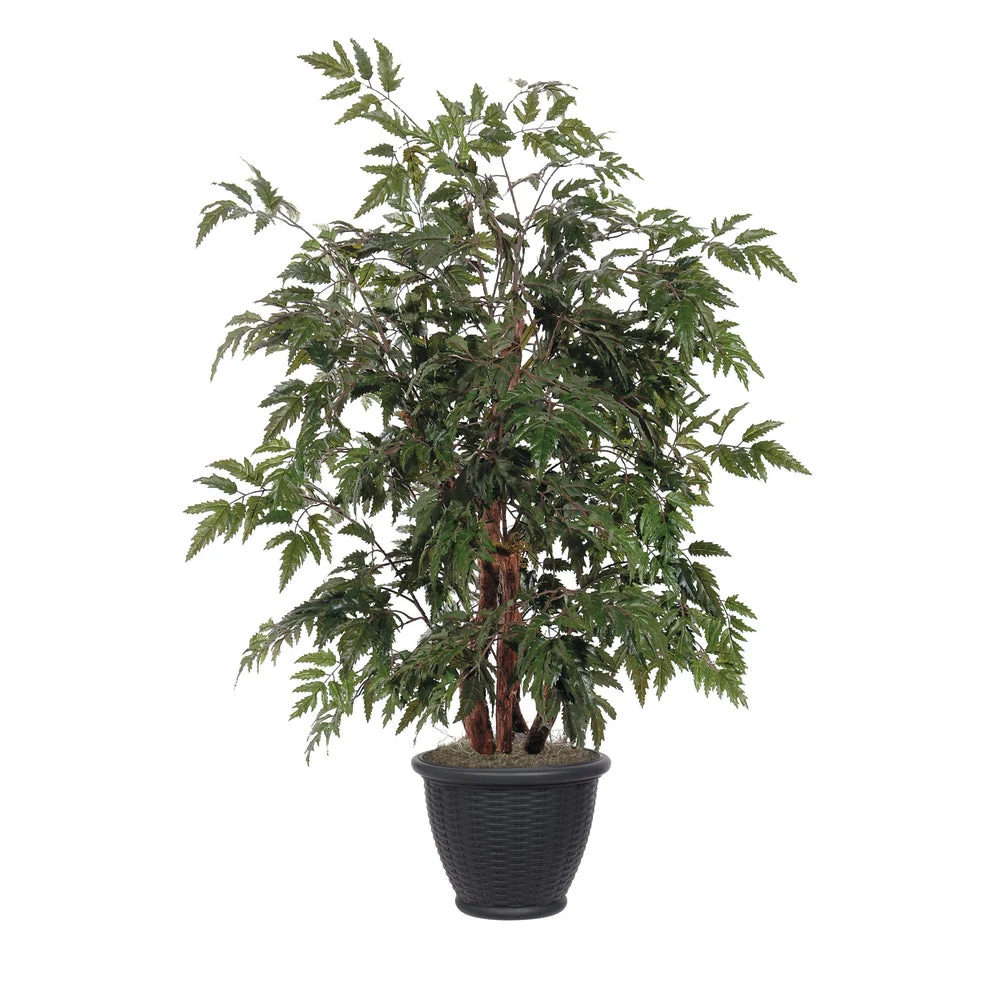 Vickerman TBU0640-RB 4' Artificial Ming Aralia Bush Brown Plastic Container.