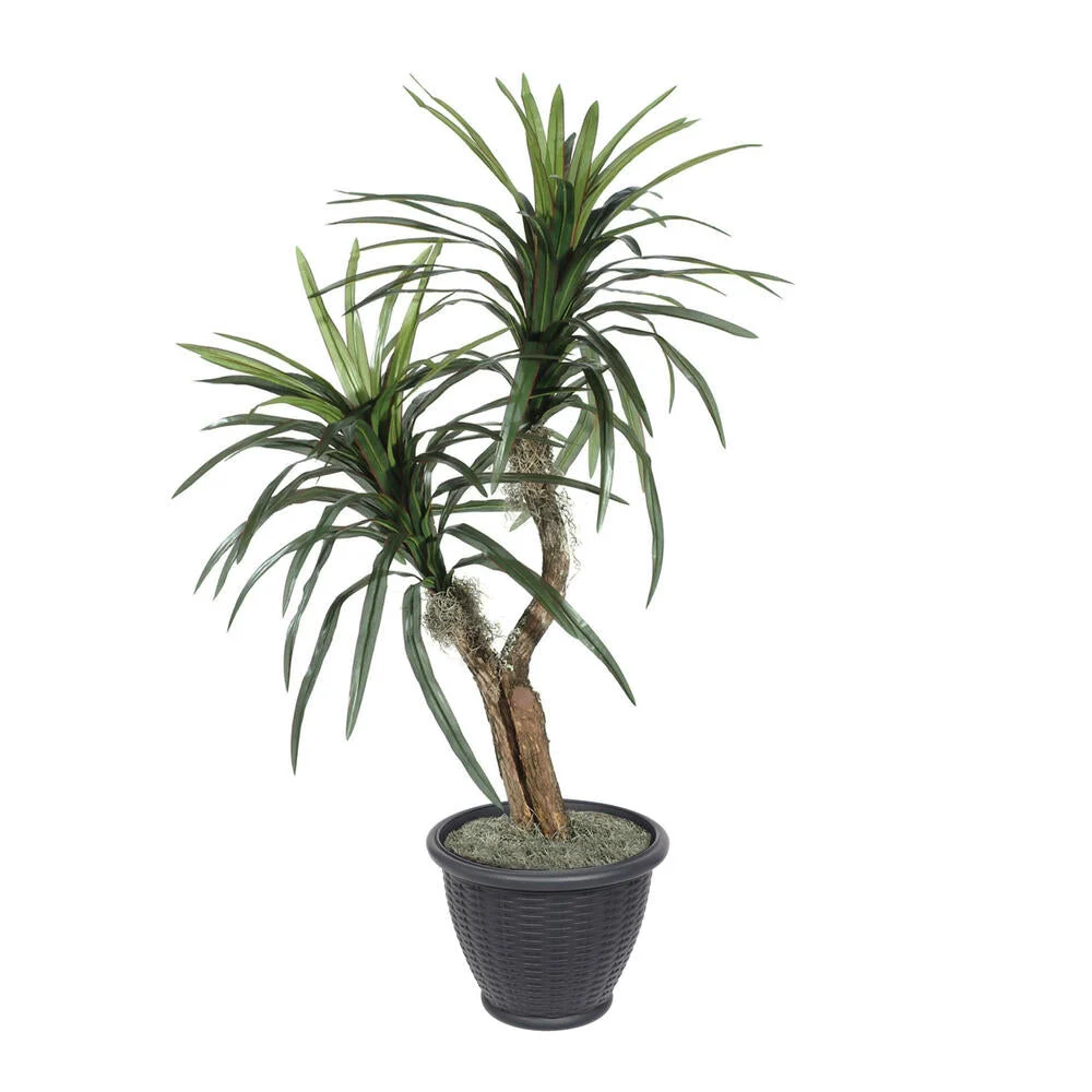 Vickerman TBU1140-RG 4' Artificial Marginata Bush Gray Round Plastic Container.