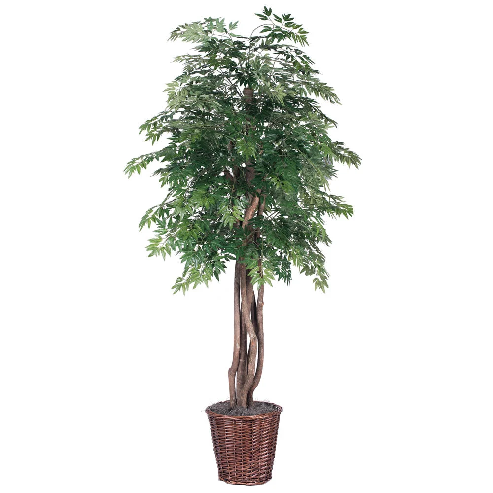 Vickerman TEX0660 6' Artificial Ming Aralia Executive Rattan Basket.