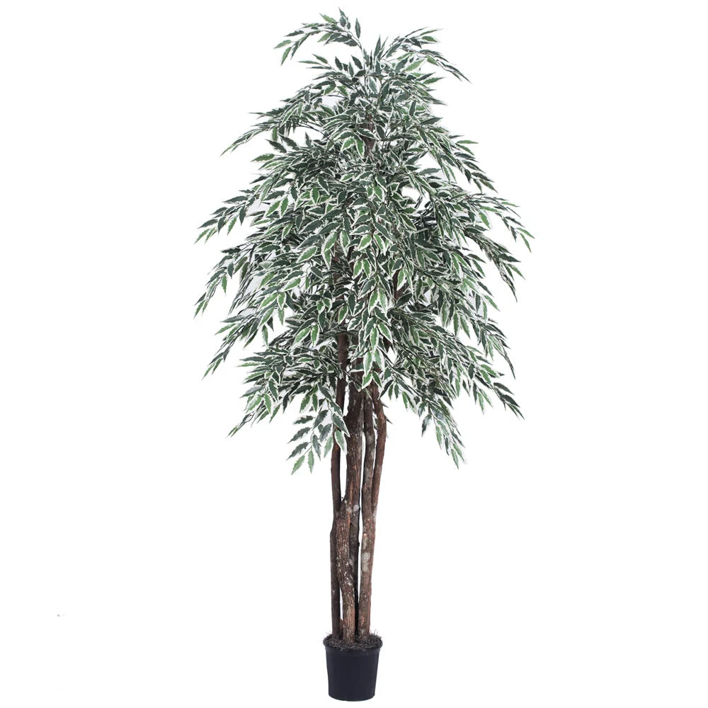 Vickerman TEX1360-07 6' Artificial Variegated Smilax Executive Black Plastic Pot