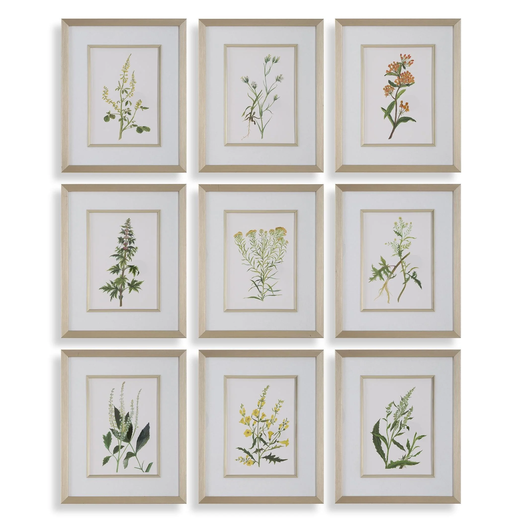 Botanical Flowers Framed Prints // Set of 9