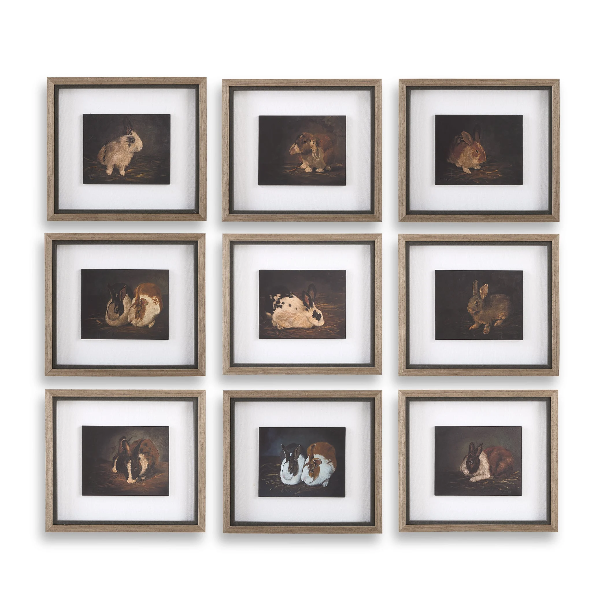 Resting Bunny Framed Prints // Set of 9