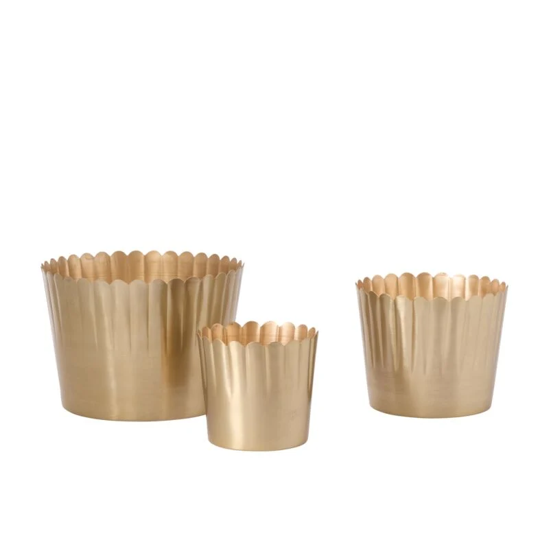 Golden Scallop Pots // 3 Sizes